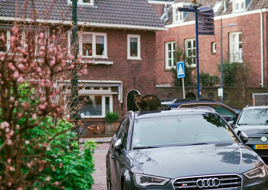 Autorijden met een beperking